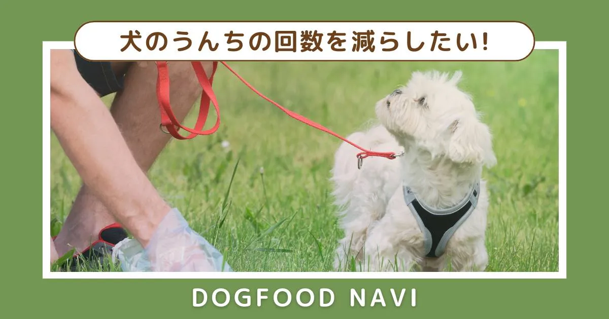 犬のうんちの回数を減らしたい方必見！効果的なフード選びと対策