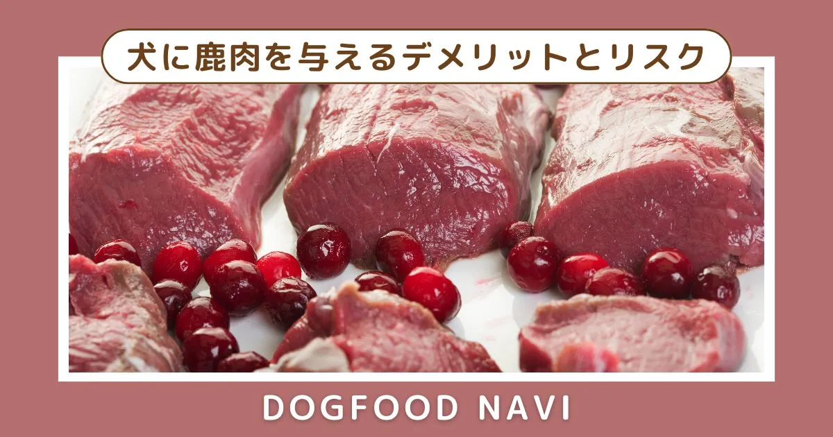 犬に鹿肉を与えるデメリットとそのリスクや注意点を徹底解説！