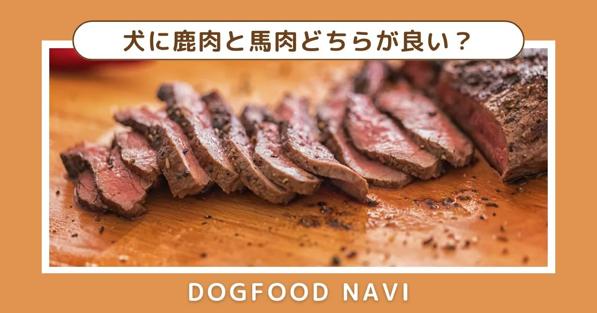 犬に鹿肉と馬肉どちらが良い？栄養価とメリットを徹底比較！