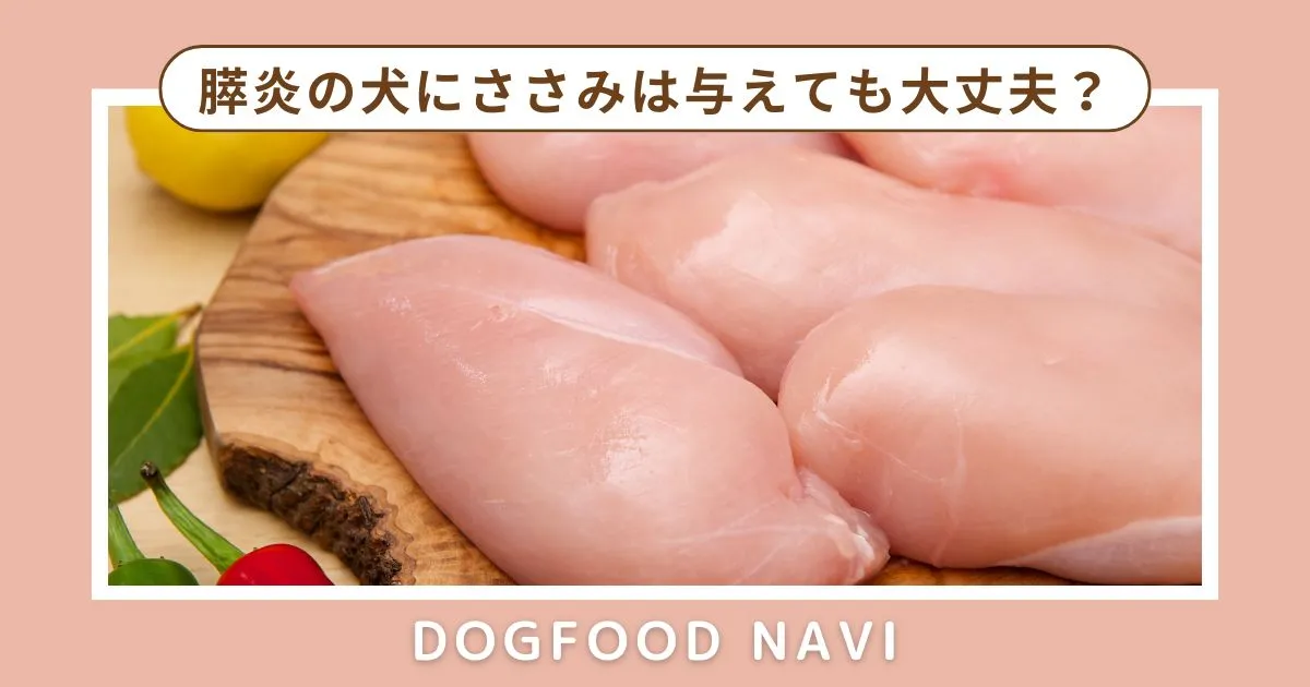 膵炎の犬にささみは与えても大丈夫？適量や調理法を解説！