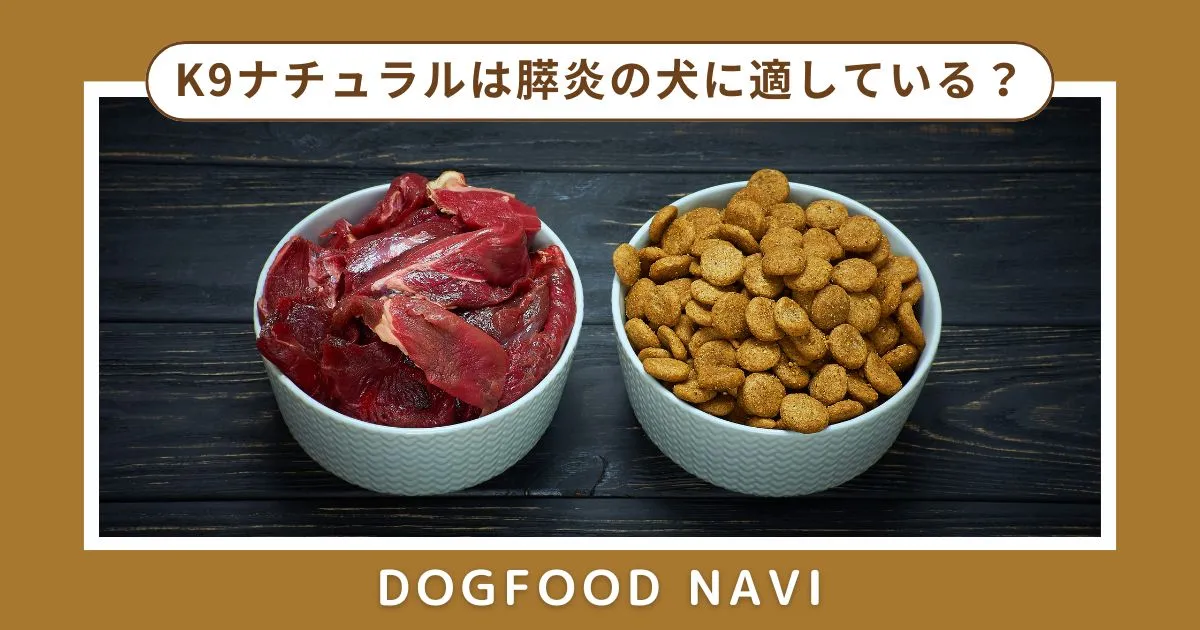 K9ナチュラルは膵炎の犬に適している？低脂肪フードとの比較と対策