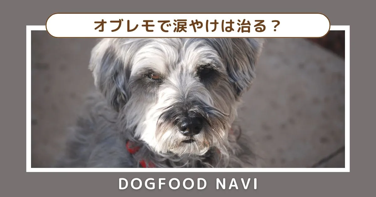 オブレモで涙やけは治る？口コミ・評判と効果・対策を徹底検証