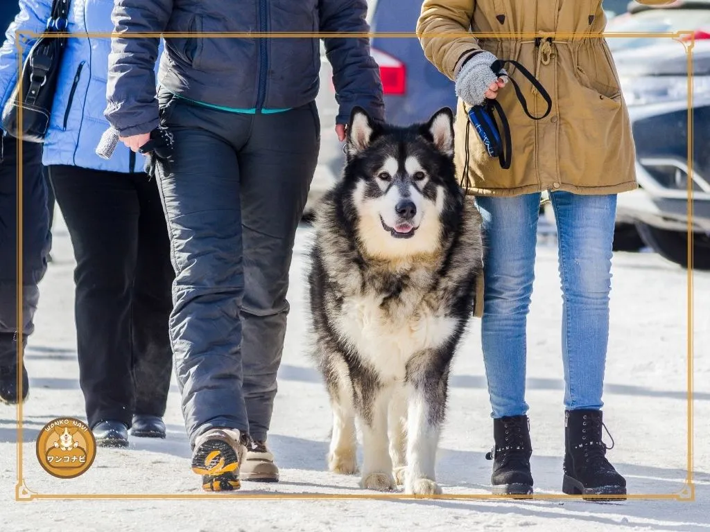 購入前に確認したい飼育の覚悟と費用