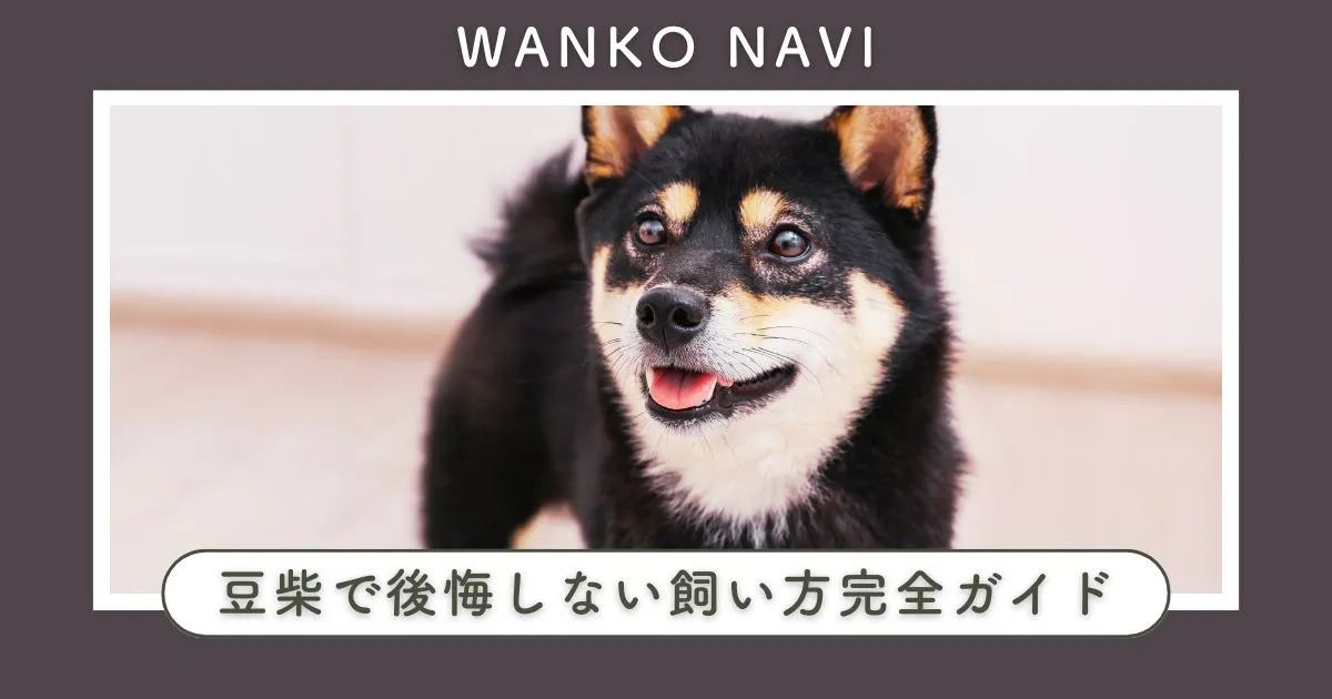 豆柴で後悔しないために知るべき性格と飼育の完全ガイド
