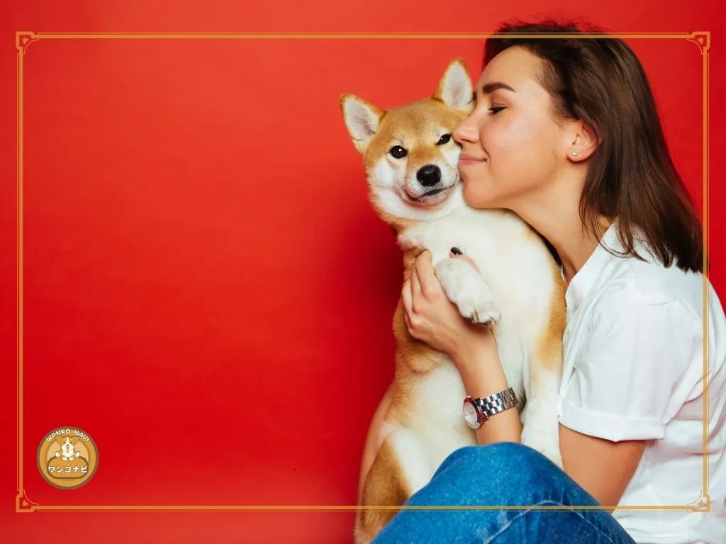 柴犬を引き取る前に考えるべきこと